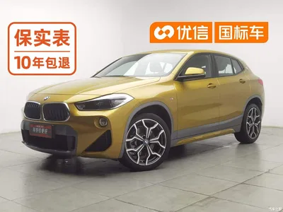 2018 BMW X2 (Import) sDrive25i Luxury M Off-Road Package China V, фото 1, лот 11448705