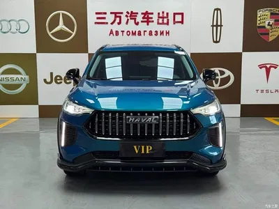 2022 Haval Chitu Power Edition 1.5T Purple Copper Rabbit, фото 2, лот 10298403