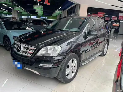 2010 Mercedes-Benz M-Class ML 300 4MATIC, фото 1, лот 10261402