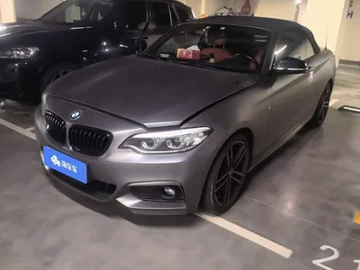 2019 BMW 2 Series (Import) 225i Convertible Coupe Exclusive M Sport Package, фото 1, лот 11242695