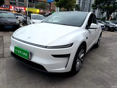 2025 Tesla Model Y Long Range All-Wheel Drive, фото 2, лот 10837523