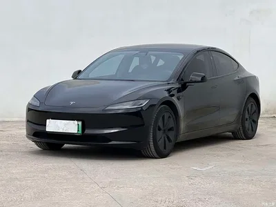 2025 Tesla Model 3 Model Rear-Wheel Drive Edition, фото 1, лот 11136163