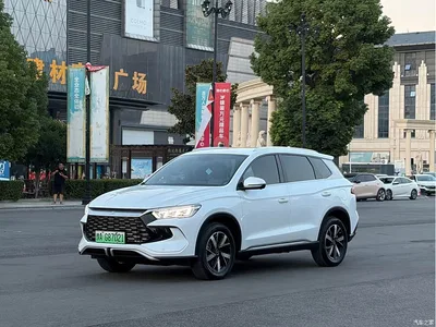 2024 BYD Song Pro New Energy Glory Edition DM-i 71KM Pilot, фото 1, лот 10507574