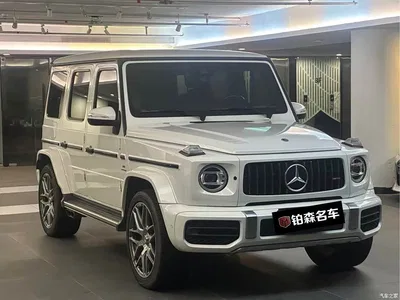 2023 Mercedes-Benz G-Class, фото 1, лот 10448351