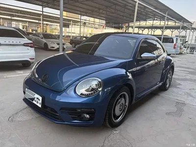 2019 Volkswagen Beetle 180TSI Classic Edition, фото 1, лот 11585719