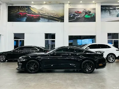 2021 Ford Mustang 2.3T EcoBoost, фото 3, лот 10294861