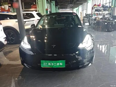 2022 Tesla Model 3 Model Rear-Wheel Drive Version, фото 3, лот 10370528