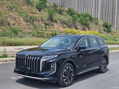 2024 Hongqi HS7 PHEV 2.0T PHEV 4WD Flagship Edition 6-seater, фото 1, лот 10287839