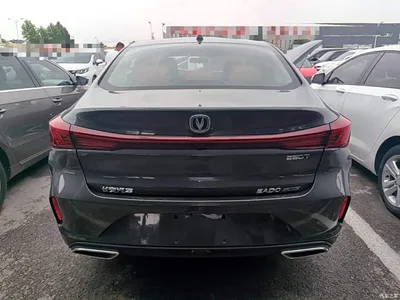 2023 Changan Eado Enjoy Edition PLUS Blue Whale NE 1.4T GDI DCT Premium Edition, фото 4, лот 10254364