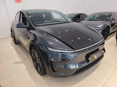 2025 Tesla Model Y Rear-Wheel Drive, фото 4, лот 11096570