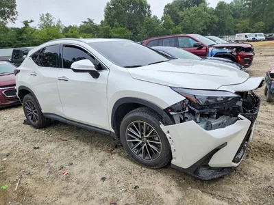 2024 LEXUS NX 350 BASE, фото 4, лот 10904461