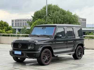 2020 Mercedes-Benz G-Class G 350, фото 1, лот 10261506