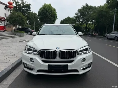 2017 BMW X5 (Import) xDrive28i, фото 2, лот 10396912