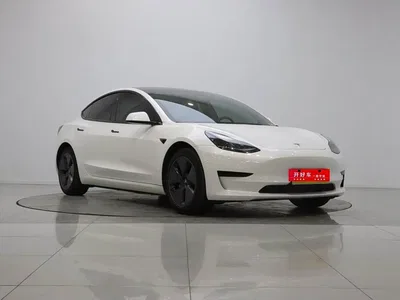 2022 Tesla Model 3 Model Rear-Wheel Drive Version, фото 3, лот 10684573