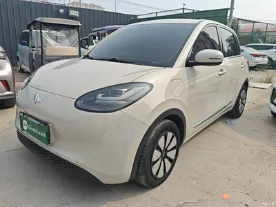 2024 Wuling Motors Wuling Bingo 333km Comfort Edition, фото 1, лот 11007482