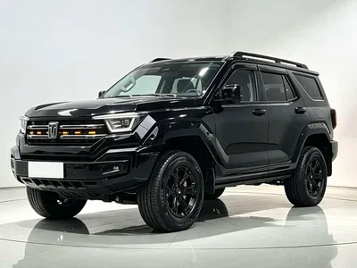2024 Tank 400 New Energy Hi4-T Off-Road Edition, фото 1, лот 10397869