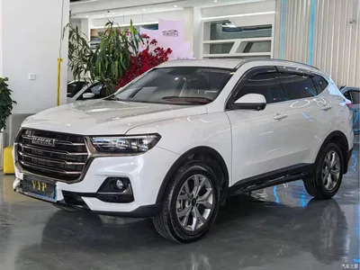 2023 Haval H6 National Trend Edition 1.5T Automatic Champion, фото 1, лот 10283813