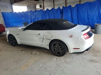 2019 FORD MUSTANG, фото 2, лот 10572596