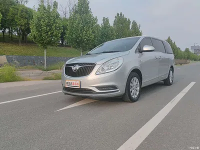2017 Buick GL8 25S Luxury China V, фото 1, лот 10252785