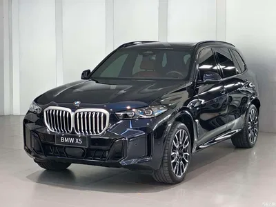 2023 BMW X5 xDrive 40Li M Sport Black Night Package, фото 1, лот 10401335