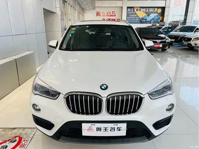 2018 BMW X1 sDrive20Li Leading Model, фото 4, лот 10465133
