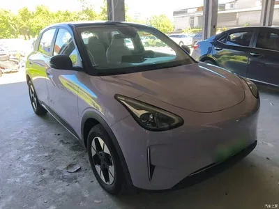 2026 Geely Galaxy Starry Wish Model 410km Explorer Edition, фото 4, лот 10834517