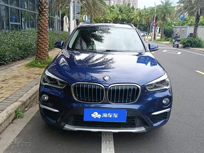 2018 BMW X1 New Energy xDrive25Le Luxury Model, фото 2, лот 10475362