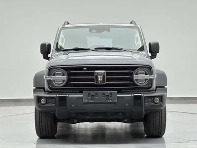 2023 Tank 300 Off-Road Edition 2.0T Conqueror, фото 3, лот 10450112