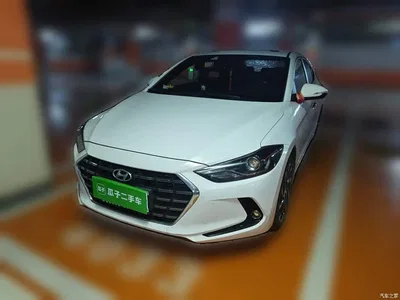 2019 Hyundai Elantra 1.4T Dual-clutch XuanDong·Vitality Type, фото 2, лот 10376366