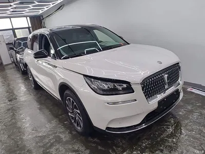 2022 Lincoln Adventurer Facelift 2.0T 2WD Zunxiang Edition, фото 4, лот 10357545