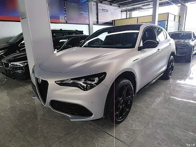 2023 Alfa Romeo Stelvio 2.0T 280HP Competizione Racing Edition, фото 2, лот 10240267