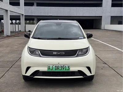 2021 BYD Dolphin Model 405km Fashion Edition, фото 2, лот 10255100