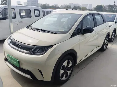 2025 BYD Dolphin 420km Freedom Edition, фото 1, лот 10264240