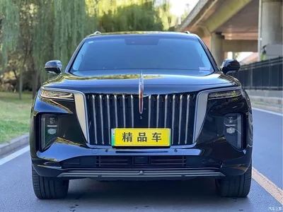 2021 Hongqi E-HS9 460km Flagship Comfort 6-seater, фото 2, лот 10415762