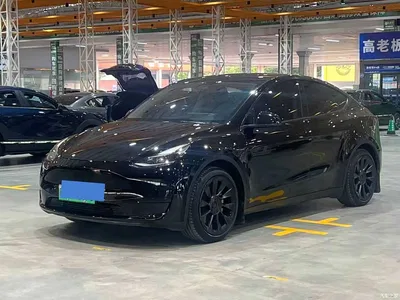 2022 Tesla Model Y Rear-Wheel Drive Version, фото 1, лот 11017749