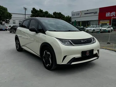 2024 BYD Dolphin Glory Edition 420km Fashion Edition, фото 3, лот 10895138