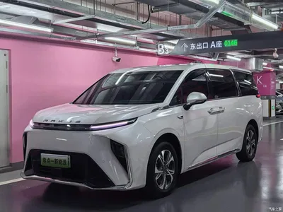 2022 SAIC Maxus Dajia 9 Long Range Grassland 7-Seater, фото 2, лот 11153406
