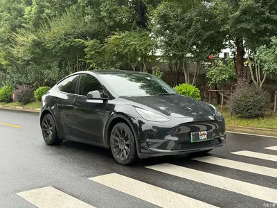 2021 Tesla Model Y Model Long Range AWD, фото 3, лот 11242312