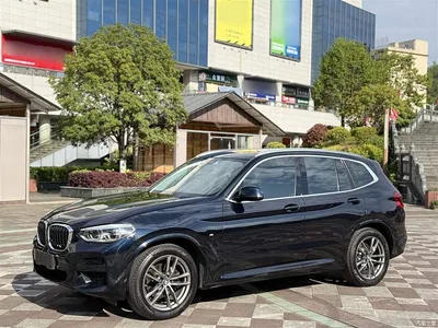 2021 BMW X3 xDrive25i M Sport Package, фото 1, лот 10461929