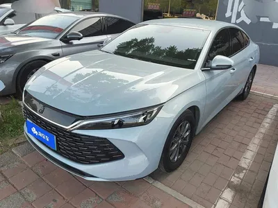 2024 BYD Qin L DM-i 80KM Leading Edition, фото 1, лот 10626448