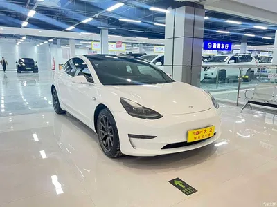 2020 Tesla Model 3 Facelift Long Range Rear-Wheel Drive, фото 3, лот 10366590