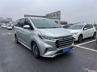 2020 SAIC Maxus Maxus G20 2.0T Gasoline Automatic Luxury, фото 3, лот 11162353