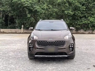 2016 Kia KX5 Model 1.6T Automatic 2WD Premium, фото 3, лот 10338280