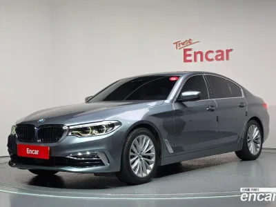 2019 BMW 5-Series 530i Luxury Plus, фото 1, лот 10199403