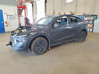 2026 TESLA MODEL Y, фото 1, лот 10968128