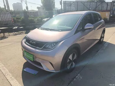 2023 BYD Dolphin 420km Freedom Edition, фото 1, лот 11579916
