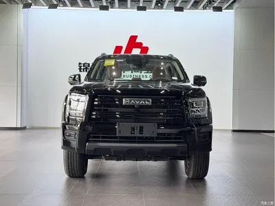 2025 Haval H5 2.0T Auto 4WD Navigation Edition (Diesel), фото 2, лот 11214751