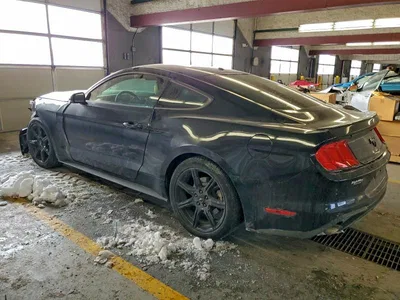 2019 FORD MUSTANG, фото 2, лот 10500395