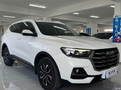 2021 Haval H6 National Trend Edition 1.5T Automatic Urban Edition, фото 3, лот 10281687
