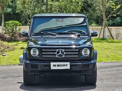 2019 Mercedes-Benz G-Class G 500, фото 2, лот 10247985